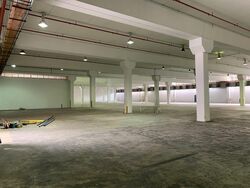 Imm Building (D22), Warehouse #509825591